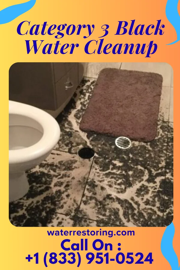 Category 3 Black Water Cleanup in Silver City, NC