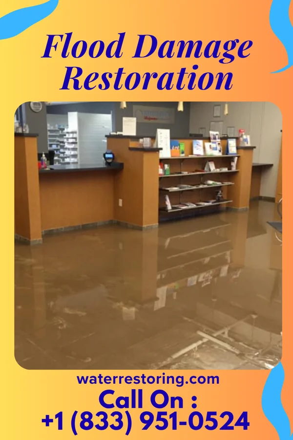 Flood Damage Restoration in Silver City, NC