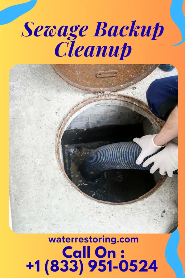 Sewage Backup Cleanup in Silver City, NC