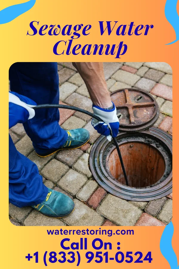 Sewage Water Cleanup in Silver City, NC