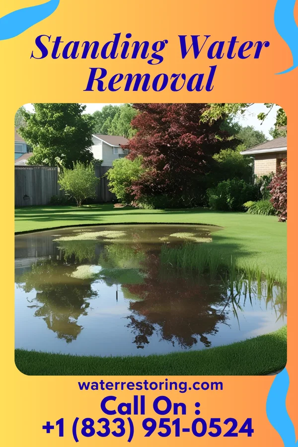Standing Water Removal in Silver City, NC